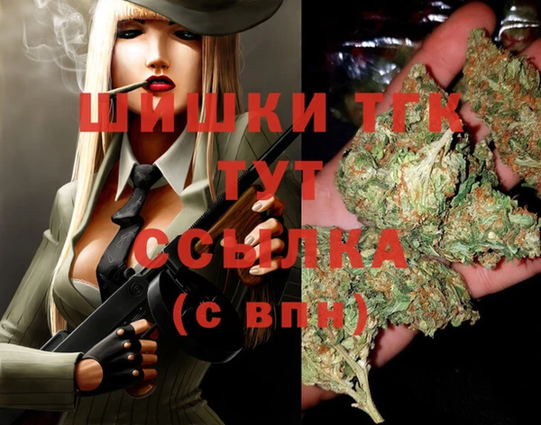 скорость Горняк