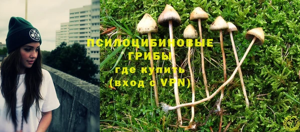 дживик Магадан