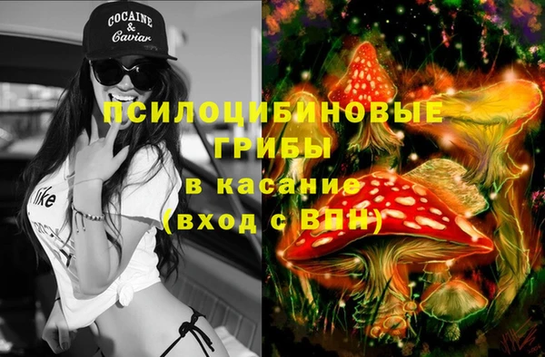 дживик Магадан
